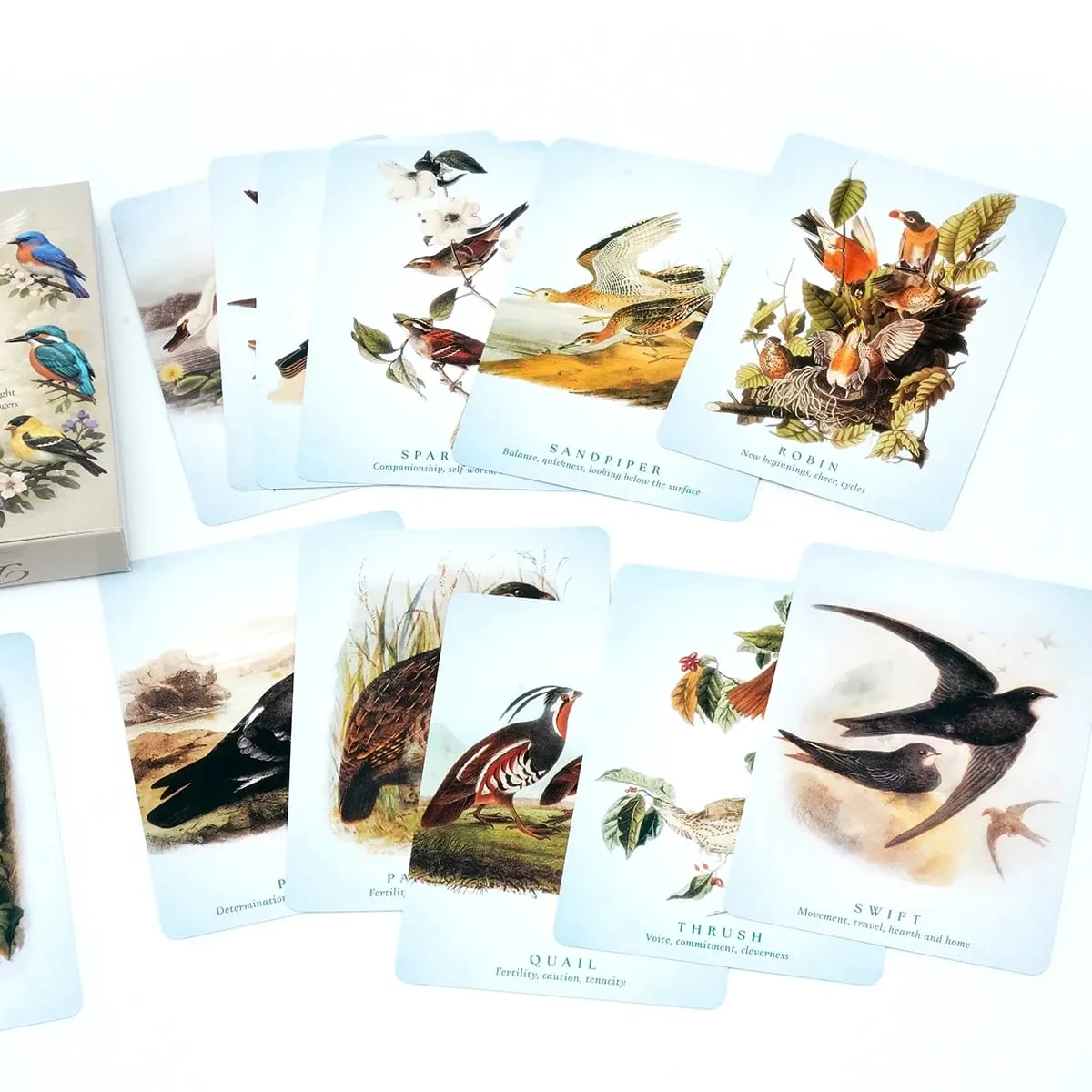 Spiritual Bird Oracle Card Deck 50 Feathered Messenger Cards for Intuitive Reading Symbolic Guidance Daily Reflection Nature Ins — image 6
