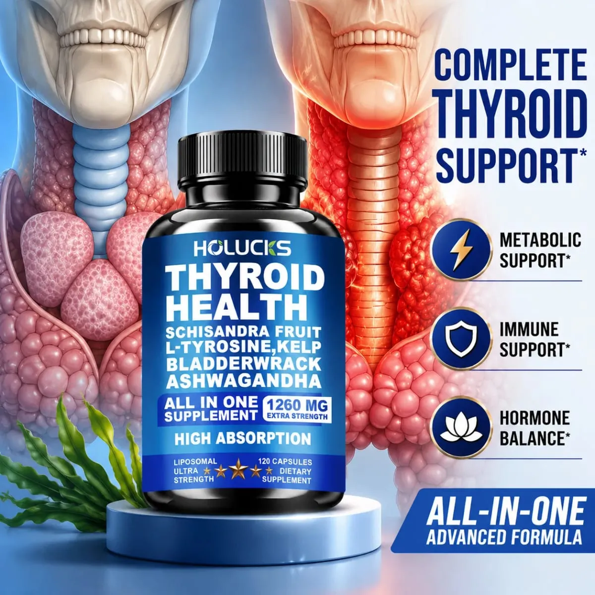 Advanced Thyroid Wellness Capsules with Schisandra Ashwagandha Kelp Improve Metabolism Focus & Whole-body Vitality Immune — image 3
