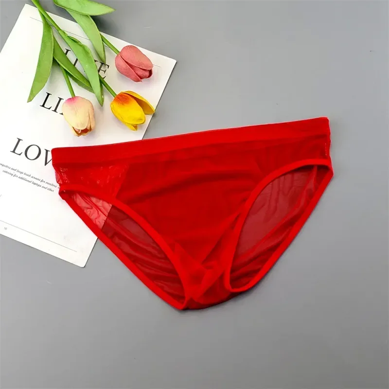 Plus Size Transparent Underwear See Through Sexy Briefs for Men with Pouch Nylon Hombre Slips Breathable Male Panties XL-4XL — image 14