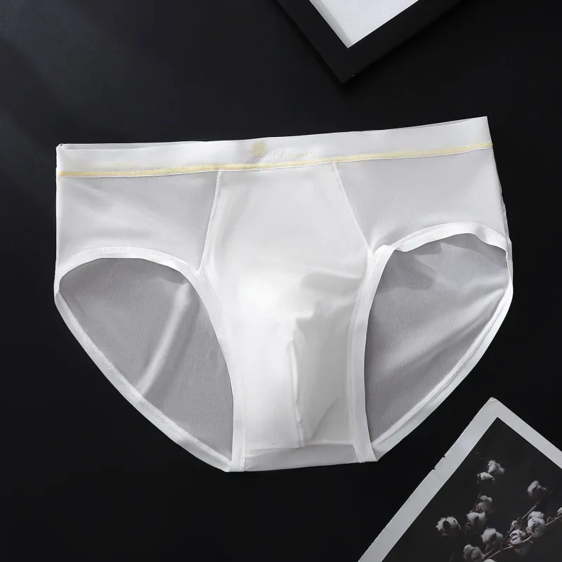 Women Panties for Men Ice Silk Seamless Brief Sexy Mesh Splicing Transparent Underwear Youth Breathable U Convex Pouch Underpant — image 17