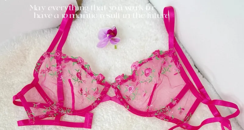 Kawaii Japanese Lingerie Set Sheer Tulle Pink Floral Embroidery Bra Bralette sek-si Pure Matching Set BANERDANNI Tushy Bras — image 8