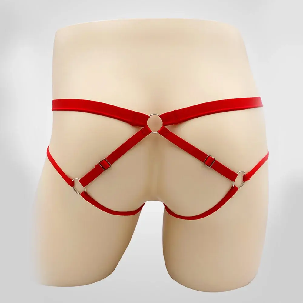 Sous-vêtements Sexy pour hommes, string, Lingerie exotique, culotte en dentelle transparente, pochette ajourée, motif floral, ceinture réglable — image 11