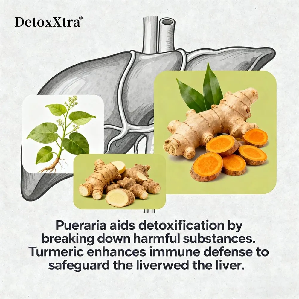 Milk Thistle Liver Cleanse Detox Health Supplement Supports Healthy Liver Function Men & Women Boosts Immunity Antioxidant — image 7