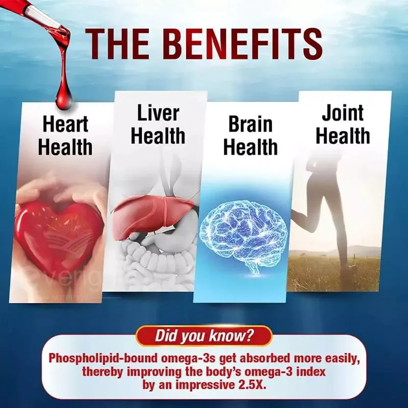Krill Oil - Phospholipid Omega-3 Complex with Astaxanthin - Support Lipid Management Metabolism Brain & Heart Health - EPA DHA — image 4