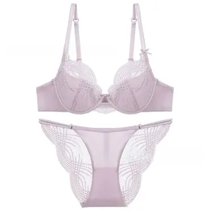 Hollow Thin Cup σετ γυναικείων εσωρούχων Μεταξωτό σατέν γαλλικού τύπου Push Up Σετ σουτιέν χωρίς ραφές κέντημα δαντέλας Γυναικεία εσώρουχα εσώρουχα