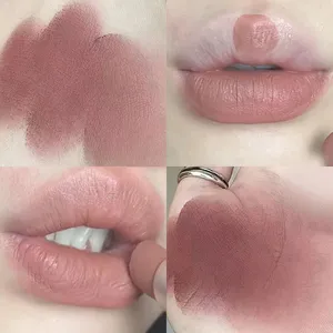 Waterproof Velvet Lipstick Easy To Wear Long-lasting Lipstick Matte Nude Coffee Lip Glaze Non-stick Cup Makeup Lip Tint Cosmetic