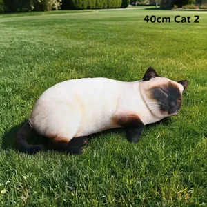 40cm Cat 2