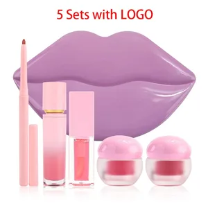 Vegan 5 dalam 1 Set Mekap Bibir Gloss Oil Mask Liner Scrub Label Peribadi Logo Tersuai Bekalan Pukal Borong untuk Penjual Semula