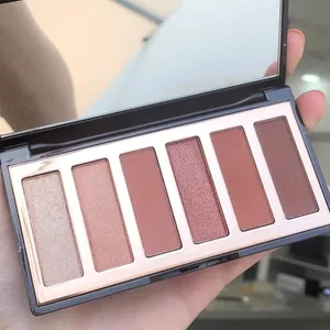 Fashion Best Seller CT Brand Makeup 6 colori Ombretto Disco 8,2 g Finitura perlata opaca Serie di colori nudi Cosmetici per occhi di bellezza