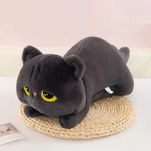Small-Eye-Grey-Cat