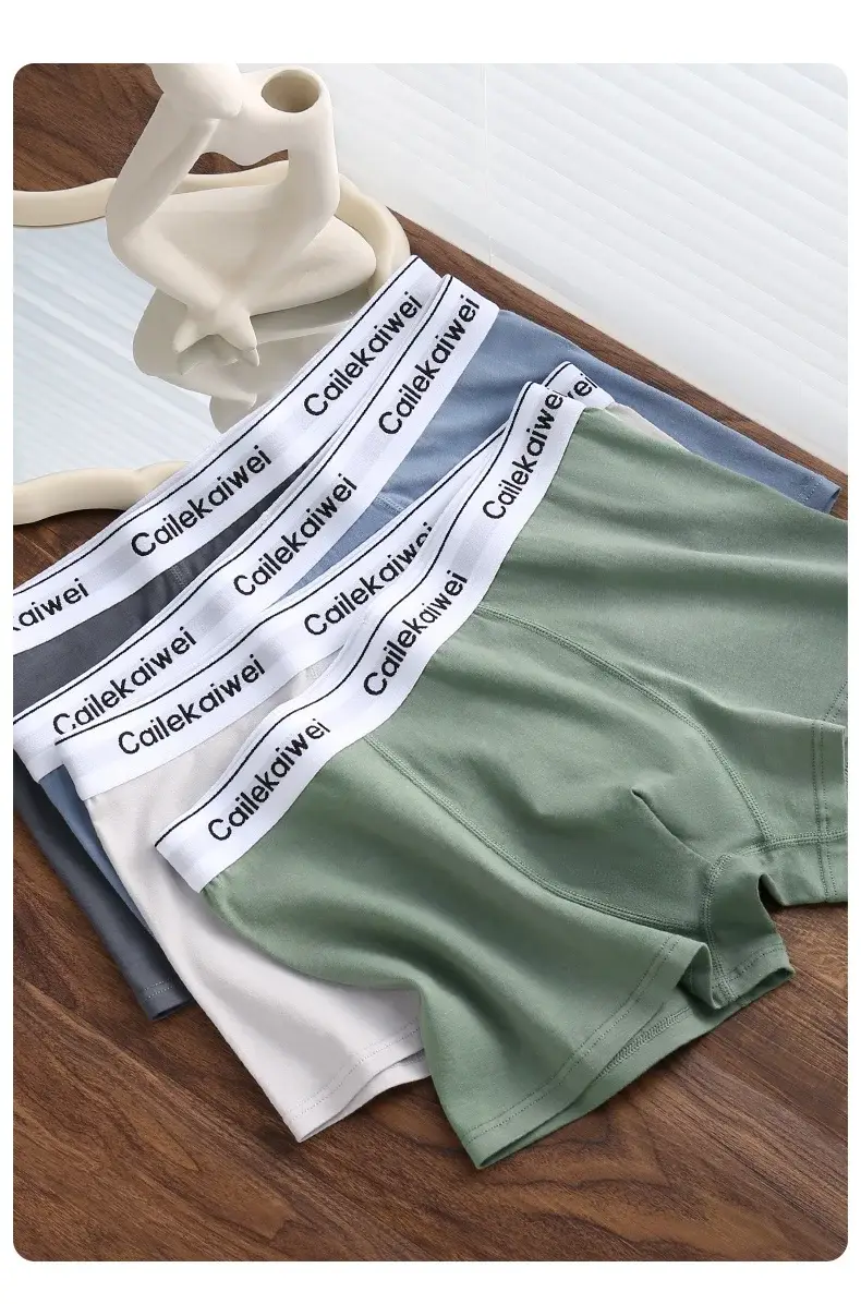 5Pcs Boxer Shorts Men's Underwear Sexy Panties Pure Cotton Solid Elasticity Man Underpants Male Boxers Homme U Convex Lingerie