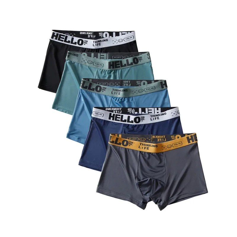 5 teile/satz Männer Boxer Shorts Eis Seide männer Unterwäsche Sommer Atmungs Plus Größe Unterhose U Konvexen Dessous Kühlen Sexy höschen