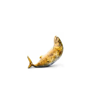 Geschenke Realistisches Makrelen-Plüschkissen Plüschweicher gefüllter Fisch Plüschtier Makrelenförmiges Katzenspielzeug Schlafsofa Dekor